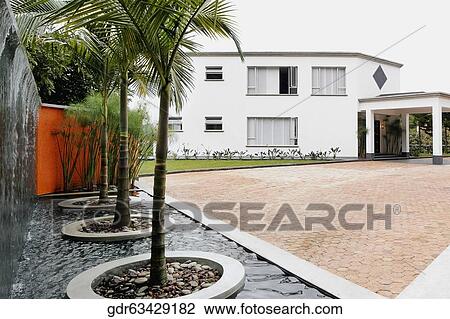 Potted plant with a house in the background View Large Photo Image Stock Image - Potted plant with a house in the background. Fotosearch