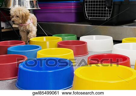 Stock Image - Puppy standing near dog bowls in a supermarket. Fotosearch