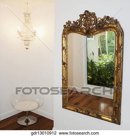 Stock Image - Reflection of plants in a mirror. Fotosearch