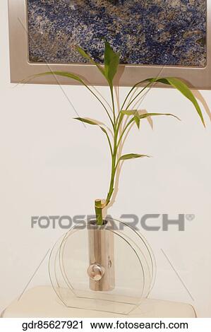 Showpiece on a table View Large Photo Image Stock Image - Showpiece on a table. Fotosearch