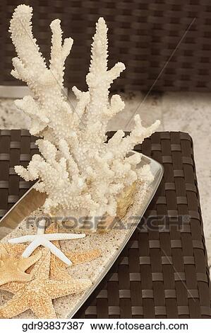 Showpieces on a table View Large Photo Image Stock Photo - Showpieces on a table. Fotosearch