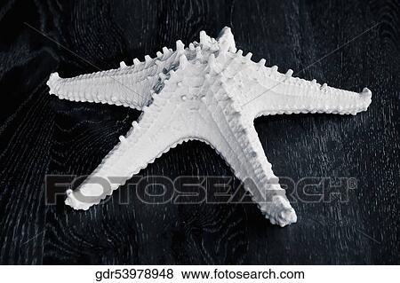 Star shape on a table View Large Photo Image Stock Photo - Star shape on a table. Fotosearch