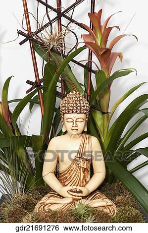 Stock Photograph - Statue of Buddha with a house plant. Fotosearch