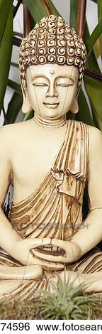 Stock Photograph - Statue of Buddha with a house plant. Fotosearch