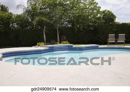 Trees at the poolside View Large Photo Image Picture - Trees at the poolside. Fotosearch