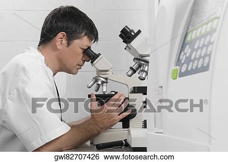 Vet looking into a microscope View Large Photo Image Stock Photograph - Vet looking into a microscope. Fotosearch