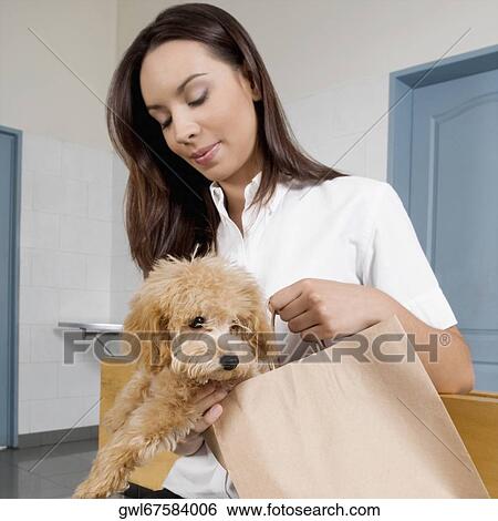 Woman carrying a puppy and a paper bag View Large Photo Image Stock Photograph - Woman carrying a puppy and a paper bag. Fotosearch