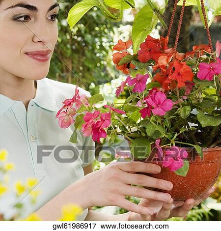 Woman holding a hanging basket in a greenhouse View Large Photo Image Stock Photo - Woman holding a hanging basket in a greenhouse. Fotosearch