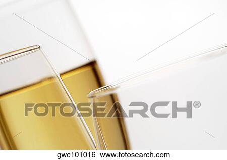 Close-up of champagne flutes View Large Photo Image Stock Photograph - Close-up of champagne flutes. Fotosearch