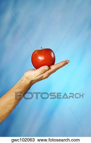 Close-up of a man's hand holding an apple View Large Photo Image Stock Image - Close-up of a man's hand holding an apple. Fotosearch