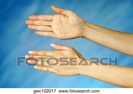 Close-up of a woman's hands View Large Photo Image Stock Photo - Close-up of a woman's hands. Fotosearch
