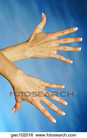 Close-up of a woman's hands View Large Photo Image Stock Photograph - Close-up of a woman's hands. Fotosearch
