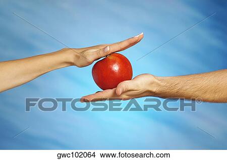 Close-up of an apple on a man's hand with a woman's hand above it View Large Photo Image Picture - Close-up of an apple on a man's hand with a woman's hand above it. Fotosearch