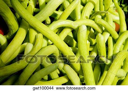 Close-up of vegetables View Large Photo Image Picture - Close-up of vegetables. Fotosearch