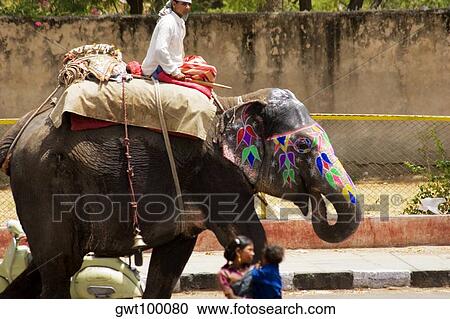 Stock Image - Young man riding an elephant, Jaipur, Rajasthan, India. Fotosearch