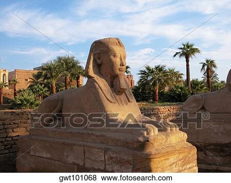 Close-up of a statue, Temple Of Luxor, Luxor, Egypt View Large Photo Image Stock Photo - Close-up of a statue, Temple Of Luxor, Luxor, Egypt. Fotosearch