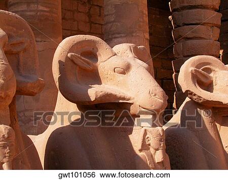 Close-up of three ram statues in a temple, Temples Of Karnak, Luxor, Egypt View Large Photo Image Stock Photograph - Close-up of three ram statues in a temple, Temples Of Karnak, Luxor, Egypt. Fotosearch
