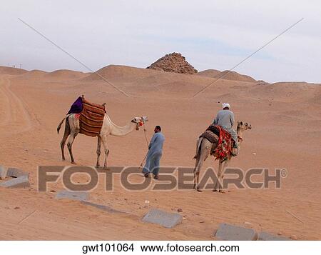 Rear view of a man riding a camel View Large Photo Image Picture - Rear view of a man riding a camel. Fotosearch