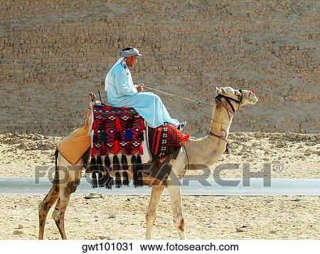 Side profile of a mid adult man riding a camel View Large Photo Image Stock Image - Side profile of a mid adult man riding a camel. Fotosearch