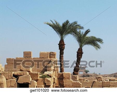 Two palm trees near a stone wall, Temples Of Karnak, Luxor, Egypt View Large Photo Image Stock Image - Two palm trees near a stone wall, Temples Of Karnak, Luxor, Egypt. Fotosearch