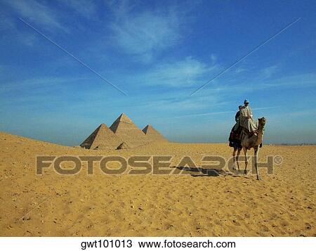Two people on a camel in front of the pyramids, Giza Pyramids, Giza, Cairo, Egypt View Large Photo Image Stock Image - Two people on a camel in front of the pyramids, Giza Pyramids, Giza, Cairo, Egypt. Fotosearch