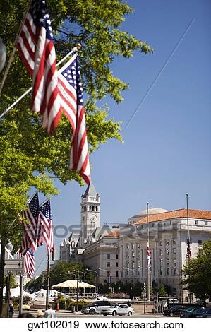 American flags hanging near trees, Washington DC, USA View Large Photo Image Stock Photo - American flags hanging near trees, Washington DC, USA. Fotosearch