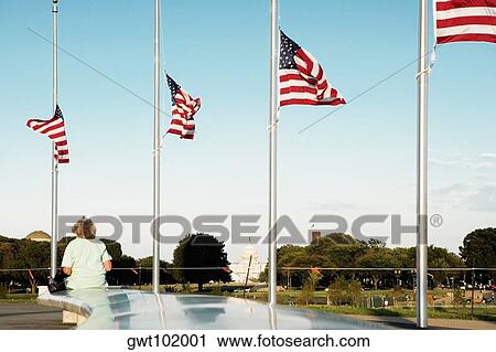 American flags on flagpoles, Washington DC, USA View Large Photo Image Stock Image - American flags on flagpoles, Washington DC, USA. Fotosearch