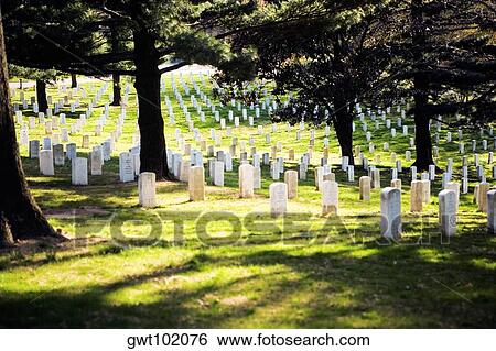 Gravestones in a graveyard, Arlington National Cemetery, Arlington, Virginia, USA View Large Photo Image Stock Photograph - Gravestones in a graveyard, Arlington National Cemetery, Arlington, Virginia, USA. Fotosearch