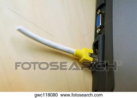 Close-up of a network cable plugged into a laptop View Large Photo Image Stock Image - Close-up of a network cable plugged into a laptop. Fotosearch