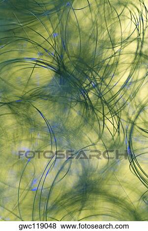 Close-up of an abstract pattern View Large Photo Image Stock Photo - Close-up of an abstract pattern. Fotosearch