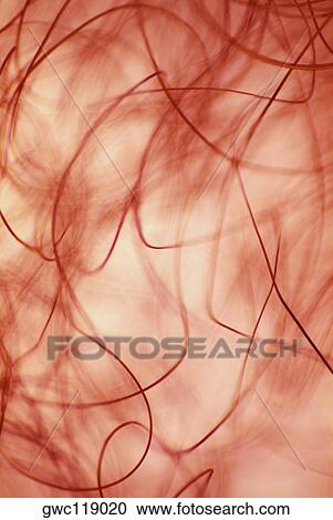 Close-up of an abstract spiral pattern View Large Photo Image Stock Image - Close-up of an abstract spiral pattern. Fotosearch