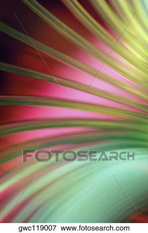 Close-up of an abstract spiral pattern View Large Photo Image Stock Photo - Close-up of an abstract spiral pattern. Fotosearch