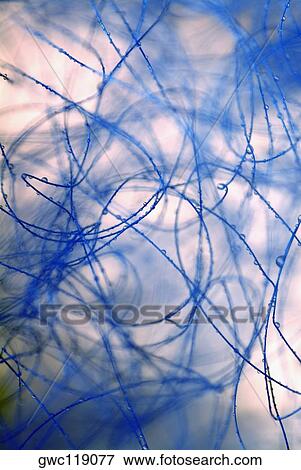 Close-up of an abstract spiral pattern View Large Photo Image Stock Photo - Close-up of an abstract spiral pattern. Fotosearch
