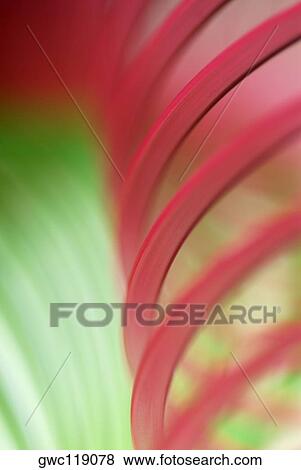 Close-up of an abstract spiral pattern View Large Photo Image Stock Photo - Close-up of an abstract spiral pattern. Fotosearch