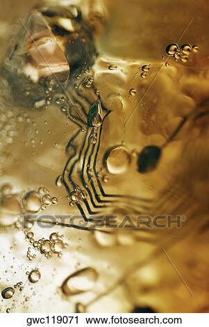 Close-up of ice cubes View Large Photo Image Stock Image - Close-up of ice cubes. Fotosearch