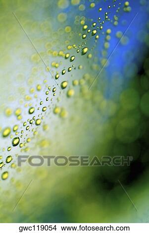Close-up of water drops on a surface View Large Photo Image Picture - Close-up of water drops on a surface. Fotosearch