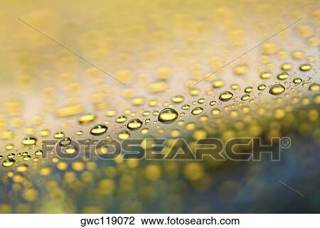 Close-up of water drops on a surface View Large Photo Image Stock Image - Close-up of water drops on a surface. Fotosearch