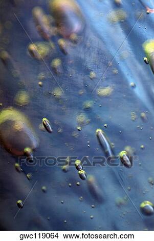 Close-up of water drops on ice cubes View Large Photo Image Picture - Close-up of water drops on ice cubes. Fotosearch