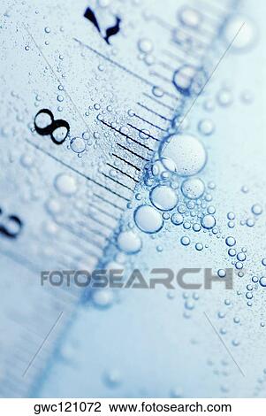 Close-up of a ruler in water View Large Photo Image Stock Image - Close-up of a ruler in water. Fotosearch