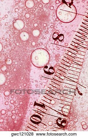 Close-up of rulers View Large Photo Image Stock Photo - Close-up of rulers. Fotosearch