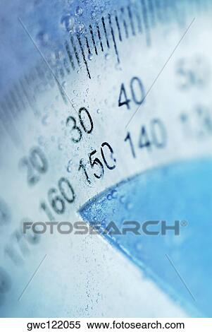 Close-up of a protractor in water View Large Photo Image Stock Photography - Close-up of a protractor in water. Fotosearch