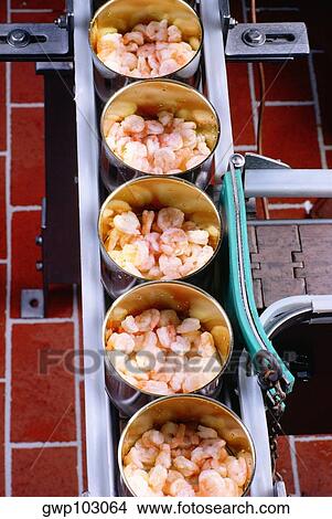 High angle view of canned seafood on an assembly line, Maryland, USA View Large Photo Image Picture - High angle view of canned seafood on an assembly line, Maryland, USA. Fotosearch