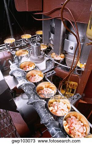 High angle view of canned seafood on an assembly line, Maryland, USA View Large Photo Image Stock Image - High angle view of canned seafood on an assembly line, Maryland, USA. Fotosearch