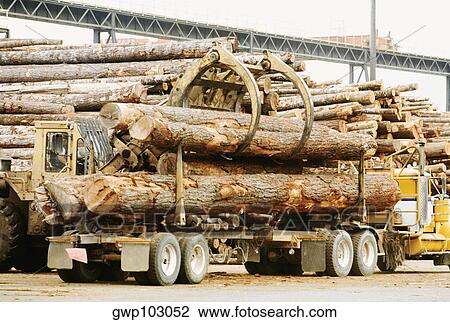 Semi-truck unloading logs, Reedsport, Oregon, USA View Large Photo Image Stock Image - Semi-truck unloading logs, Reedsport, Oregon, USA. Fotosearch