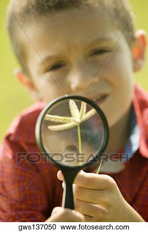 Stock Image - Close-up of a boy holding a plant and a magnifying glass. Fotosearch