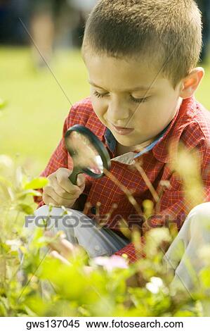 Stock Photography - Close-up of a boy looking at a plant through a magnifying glass. Fotosearch