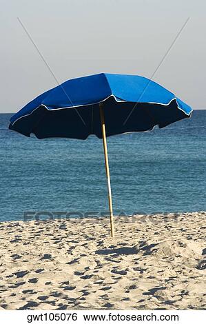 Beach umbrella on the beach, Miami, Florida, USA View Large Photo Image Stock Photograph - Beach umbrella on the beach, Miami, Florida, USA. Fotosearch