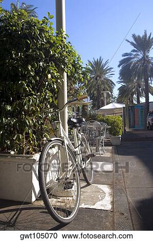 Bicycle parked against a pole, Miami, Florida, USA View Large Photo Image Stock Image - Bicycle parked against a pole, Miami, Florida, USA. Fotosearch