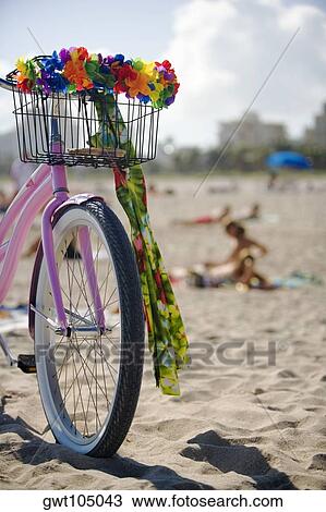 Close-up of a bicycle on the beach, Miami, Florida, USA View Large Photo Image Stock Image - Close-up of a bicycle on the beach, Miami, Florida, USA. Fotosearch