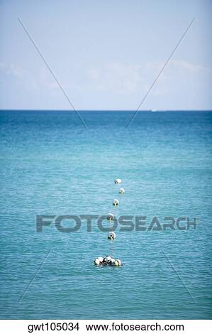High angle view of buoys on the surface of water, Miami, Florida, USA View Large Photo Image Picture - High angle view of buoys on the surface of water, Miami, Florida, USA. Fotosearch
